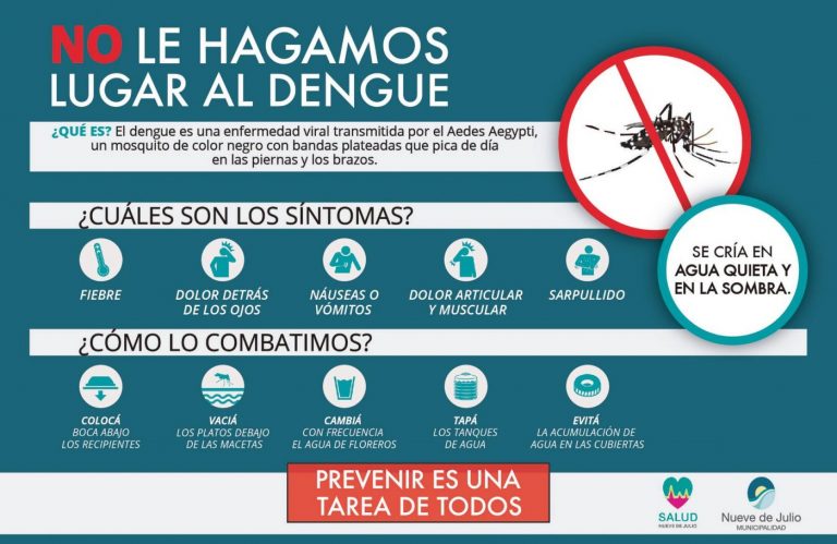 Cuidados para evitar el dengue