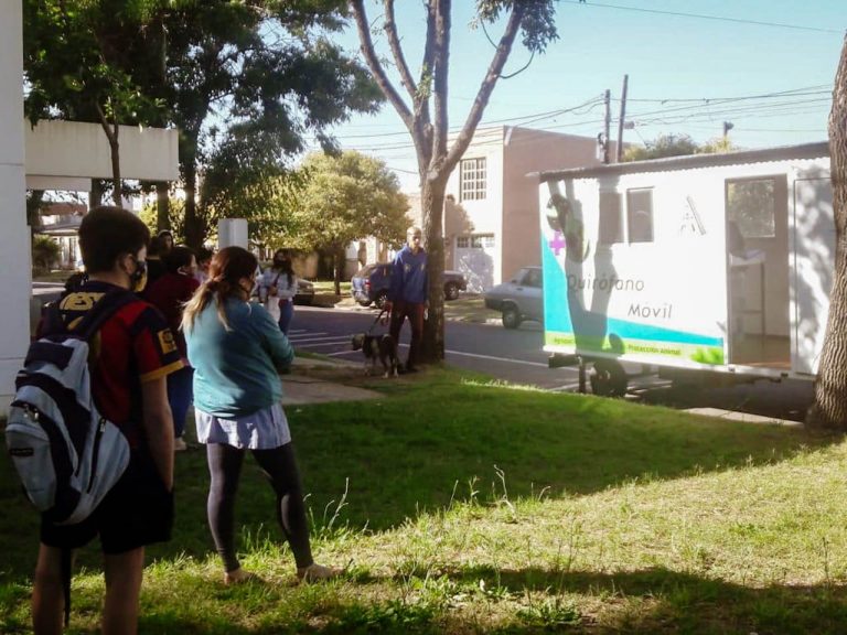 Se hicieron castraciones de mascotas