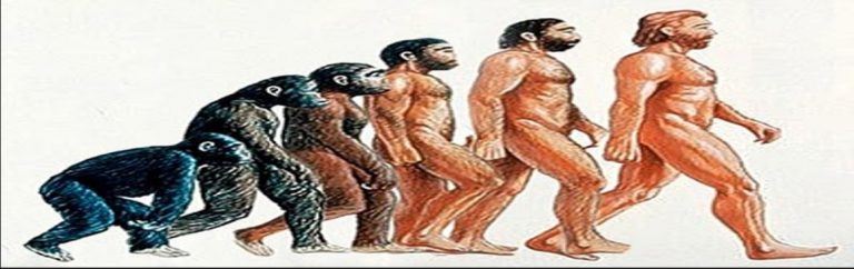 Día Mundial de la Evolución