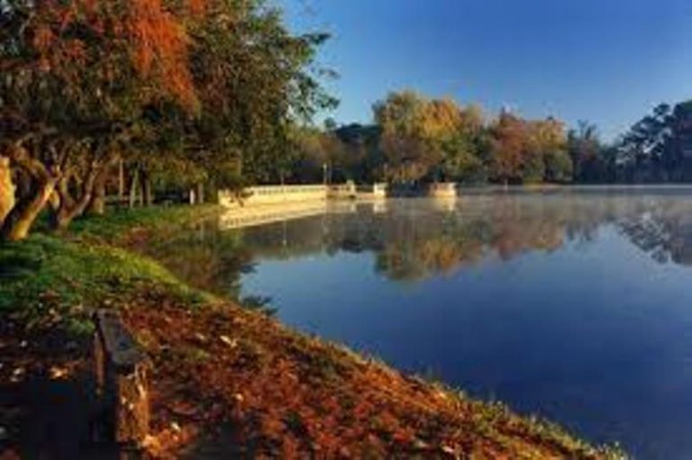 En el Parque San Martín algas presentan bacterias cianogénicas y sigue cerrado