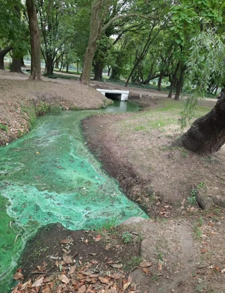 Por mortandad de animales cerró el Parque San Martín de Nueve de Julio