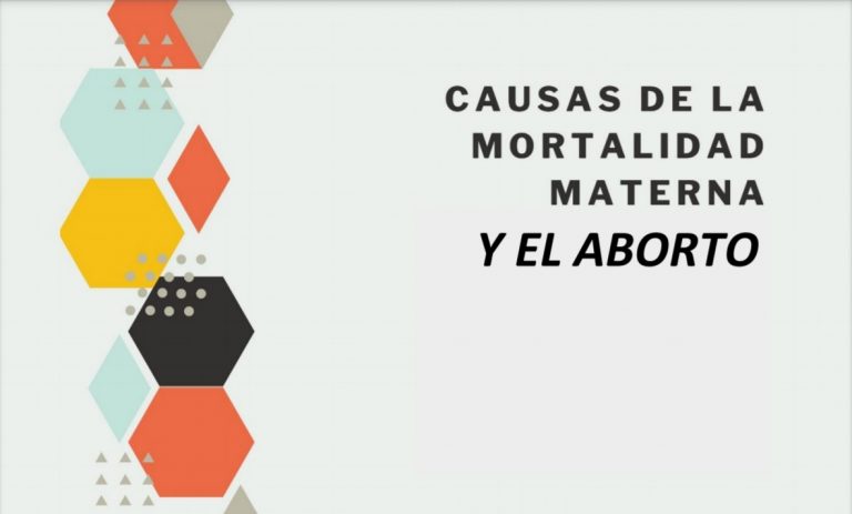 “Causas de la mortalidad materna y el aborto”