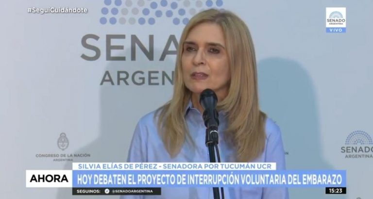 El senado debate la reforma al Código Penal para que el aborto no sea punible