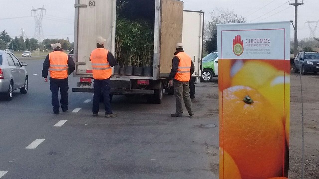 En 2020, el Senasa controló la carga de más de 2.500 transportes en rutas del norte bonaerense