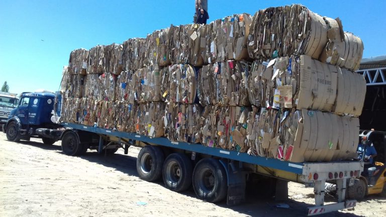 Más basura se transformó en divisas
