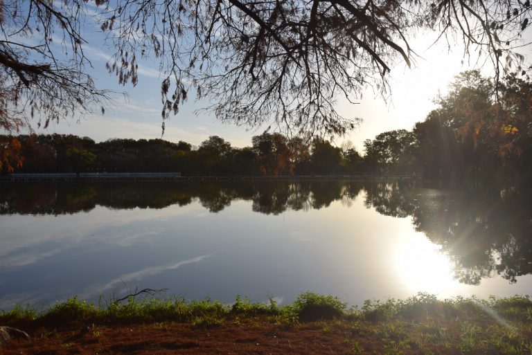 El Parque San Martín es solo para caminatas o recreación en su circuito de paseo