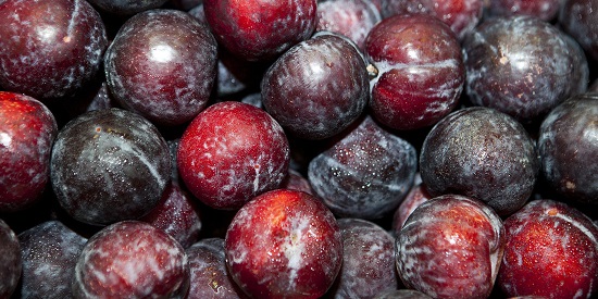 Sanidad y calidad fortalecen la producción nacional de ciruelas