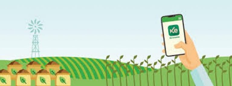Ke Insumos: AP que crece entre los productores rurales y le simplifica comprar y vender insumos agrícolas