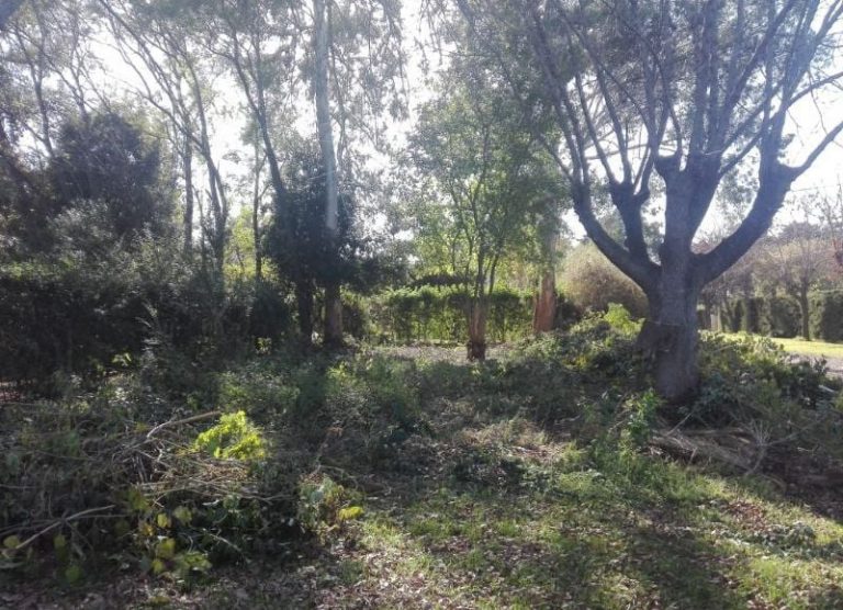Ahora, Rojas es noticias por intento de abuso a una mujer que salió a caminar