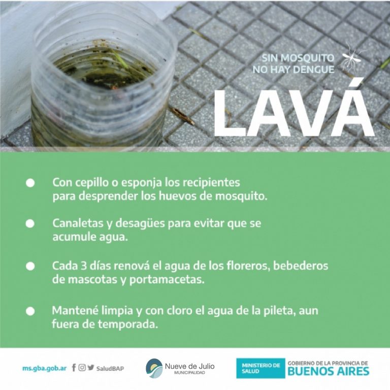 Salud Pública advierte sobre los cuidados ante el dengue