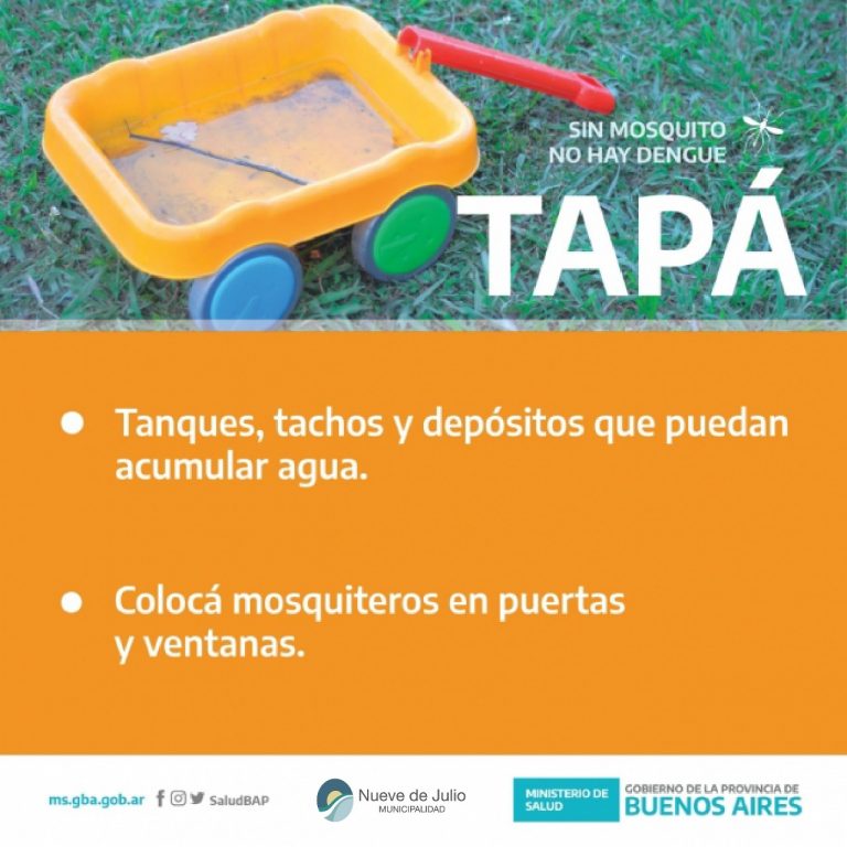 Medidas de prevención ante el dengue