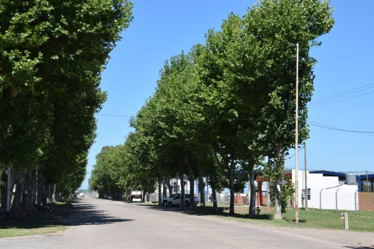 Otras avenidas nuevejulienses incorporan luminosidad con tecnología led