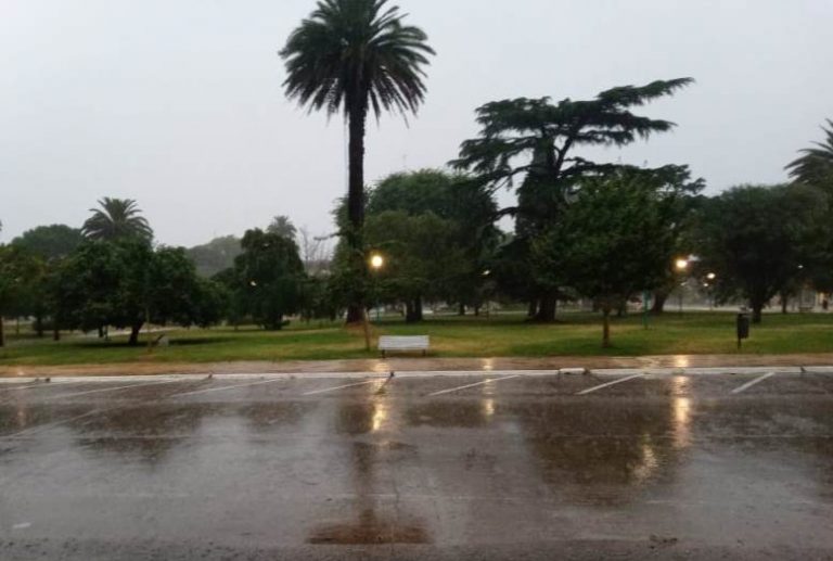 La lluvia alcanzó los 3,6mm