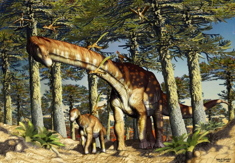 Descubren en la Patagonia al titanosaurio más antiguo del mundo