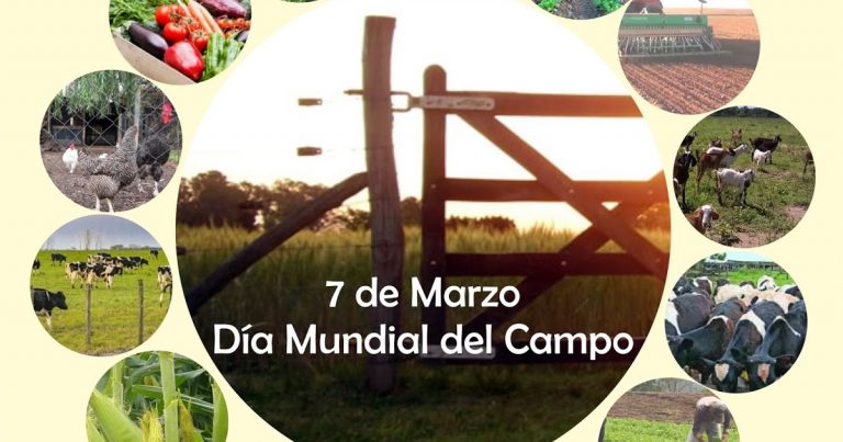 Día del Campo