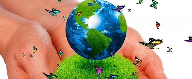 Día Mundial de la Naturaleza