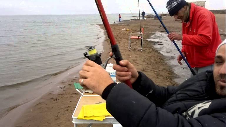 Se habilitó la pesca comercial de pejerrey en la laguna de Trenque Lauquen
