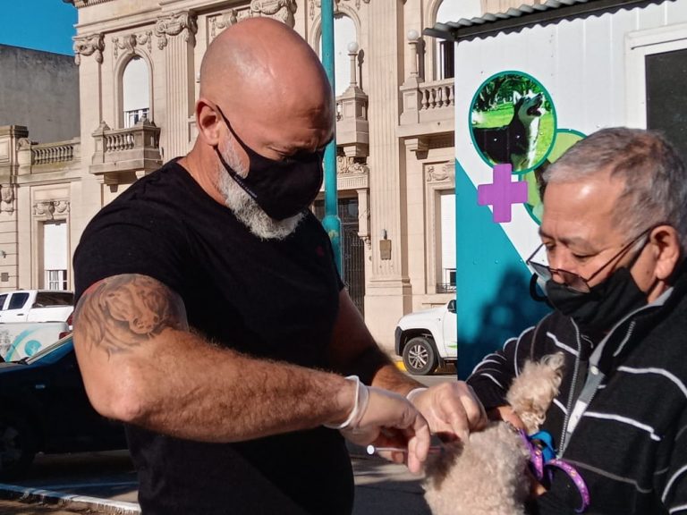 La campaña de vacunación antirrábica hace a la salud pública de la población