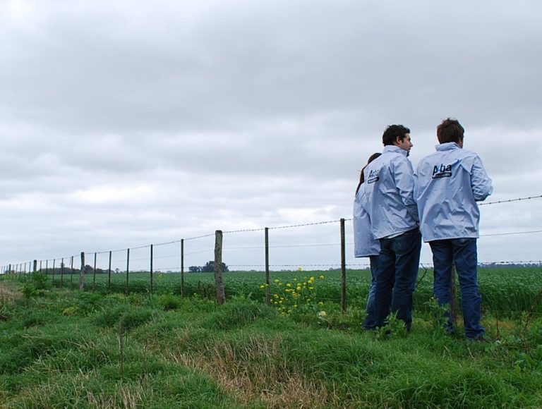 ARBA detectó maniobras de evasión por $354 millones en el sector rural