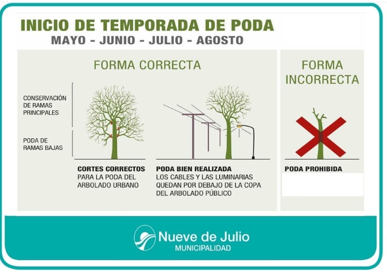Recomendaciones ante la campaña de poda que comienza el lunes 3