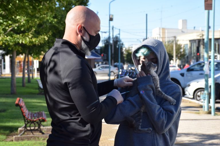 Se vacunaron contra la rabia más de 500 mascotas