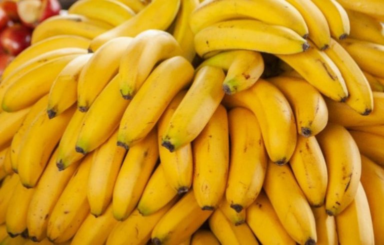 Desde octubre se deberá usar el DTV-e para trasladar banana en fresco