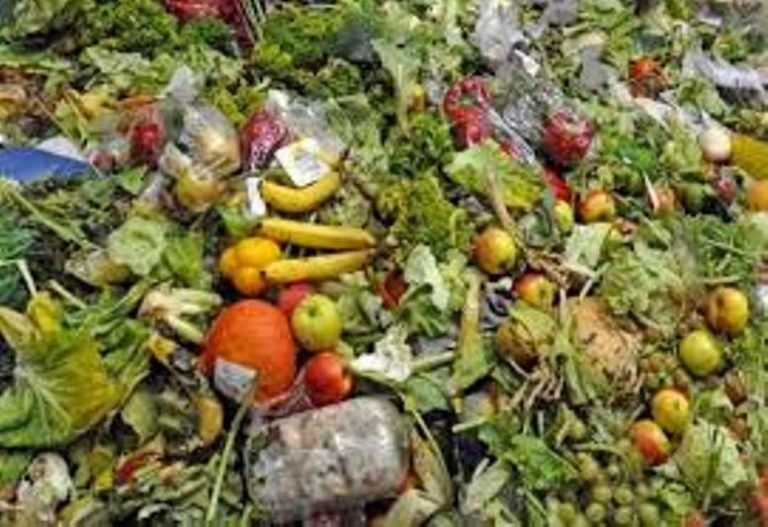 El desperdicio de comida en el mundo es un desafío para los próximos 30 años