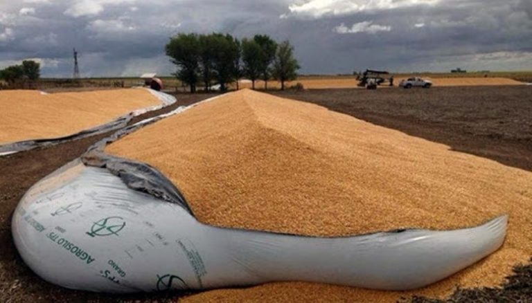 Se impulsa un proyecto que crea la figura de “vandalismo rural”