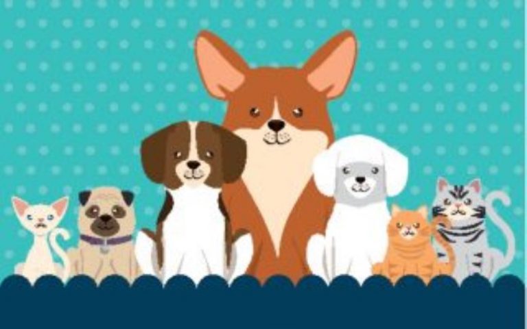 Adopción Segura de mascotas propone la Brigada de Prevención, Protección y Bienestar Animal