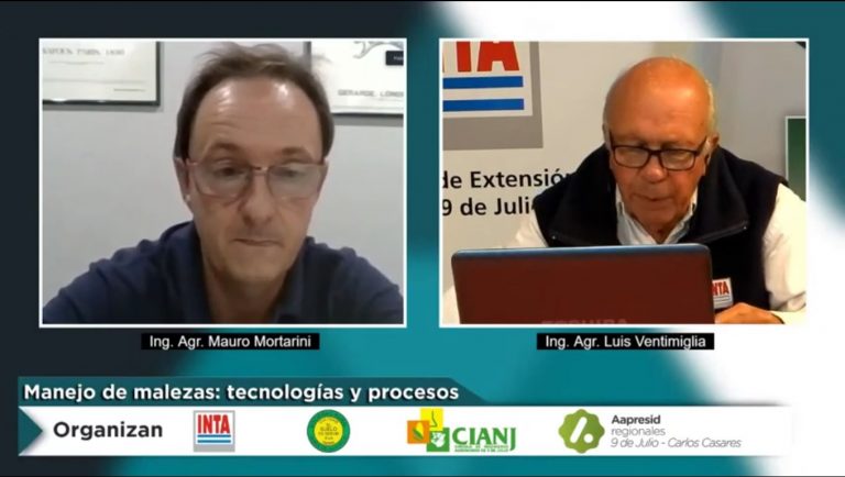 Control de malezas agrícolas: Recomiendan planificar e incorporar procesos