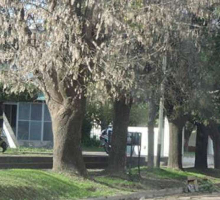 Vecinos de Alborada I están alarmados de conducta pornográfica de un integrante del barrio