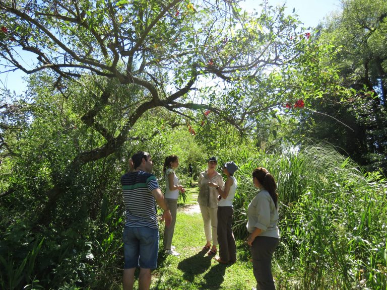 Reforestar con plantas nativas, una iniciativa para repensar la conservación ambiental