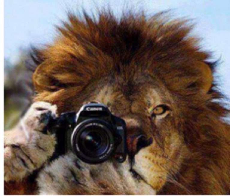 El Club de Leones de Nueve de Julio abre un Concurso Fotográfico