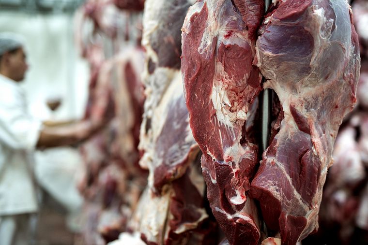 Carne: CARBAP rechaza las medidas anunciadas por el Gobierno