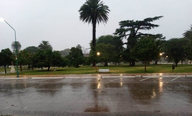 La lluvia alcanza los 4.5 mm
