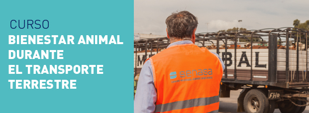 Capacitación en Bienestar Animal durante el transporte terrestre de ganado