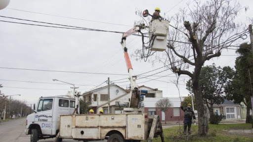 Mañana comienza la poda estaciónal en Pehuajó