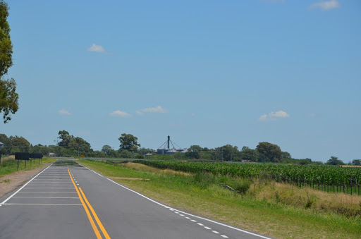 Pehuajó: anuncio importante sobre ruta del cereal