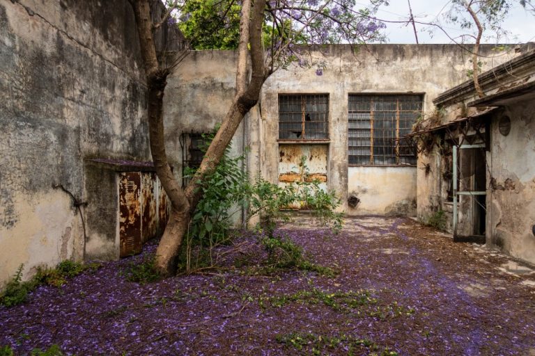 La casa de la infancia de María Elena Walsh se incorpora al patrimonio del Estado