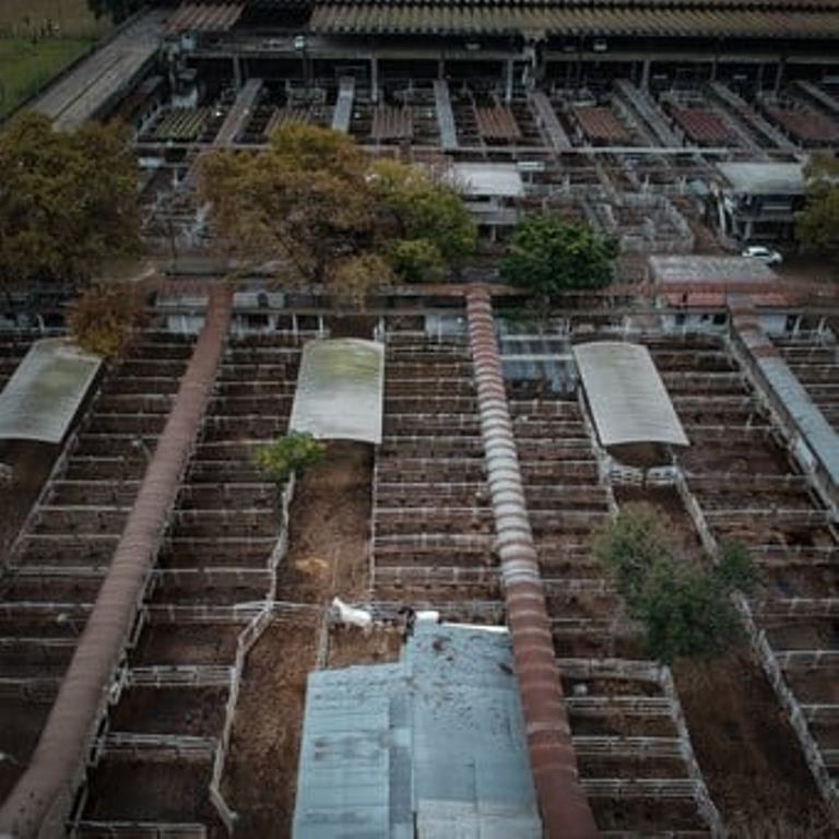 La Mesa de Enlace dispuso el cese del paro del campo