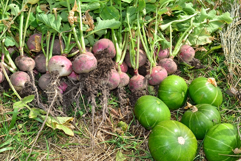 Se dicatará en Lincoln una carrera de la UBA vinculada al Agro