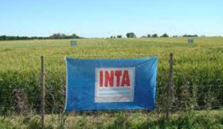 CARBAP rechaza un proyecto que modifica el funcionamiento del INTA