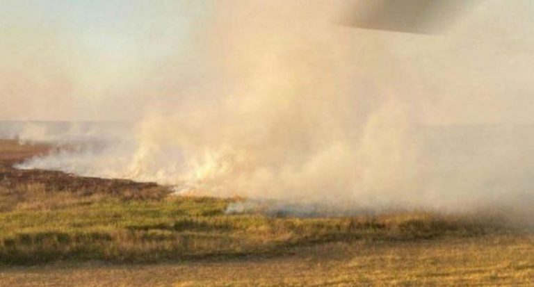 El humo de focos de incenios del Litoral llegan a esta región pampeana 