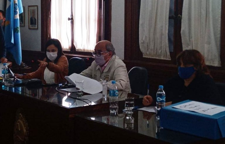 Se autorizó al Ejecutivo Municipal ampliar el Sistema de Estacionamiento Medido en Nueve de Julio