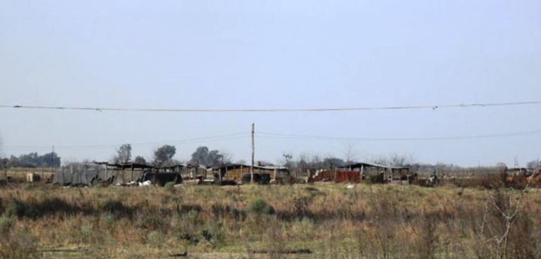Macabro hallazgo en cercanías de Junín