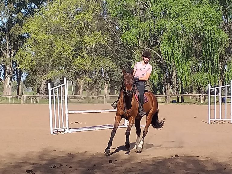 Preocupan los robos reiterados en el Club Hípico Tres Lagunas
