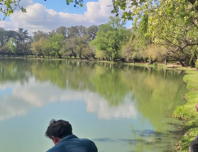 Se hacen estudios en el espejo de agua del parque San Martín