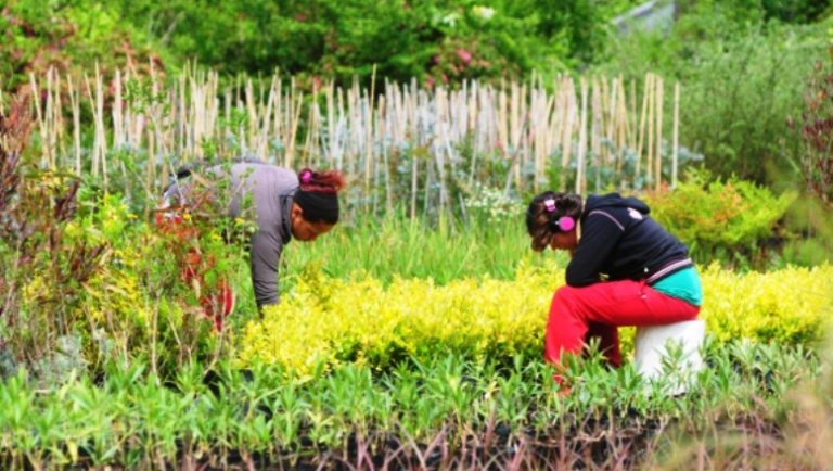 Es el Día Mundial de la Mujer Rural