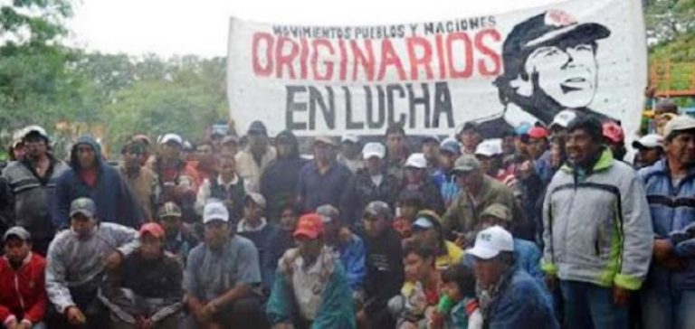 Pueblos originarios se movilizan reclamando por sus tierras