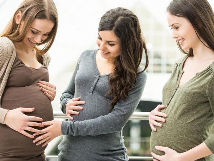 Las embarazadas tendrán una licencia parental de 135 días y sus parejas de quince